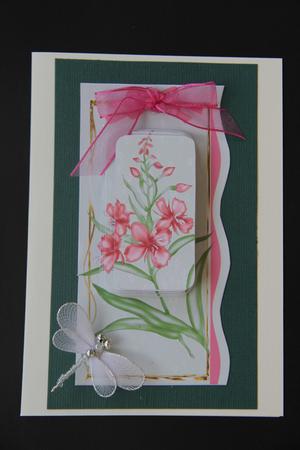 Pinks Flowers by Vicki Clark