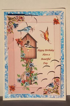 Birds of a Feather by Vicki Clark