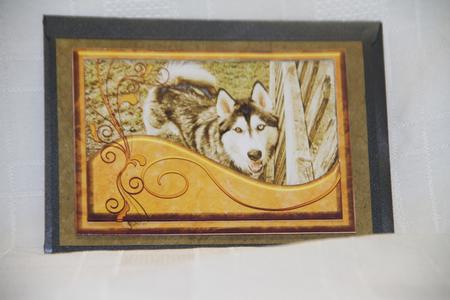 Husky 2, Golden Lena by Vicki Clark