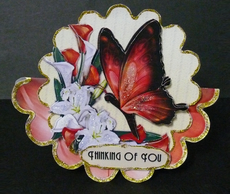 Orange Butterfly Scallop by Vicki Avcin