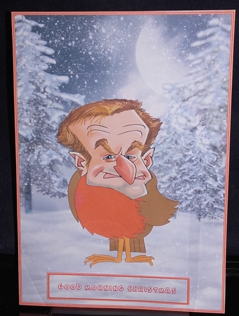CHRISTMAS ROBIN CELEBRITY CARD FRONT by Wanda Lipski