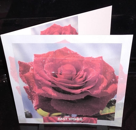 RED ROSE SHADOW ALL OCCASIONS TOPPER by Wanda Lipski