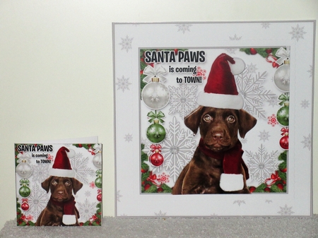 Santa Paws is Coming to Town BUMPER KIT by Wayne Swan