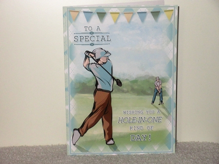 Hole in One by Wayne Swan