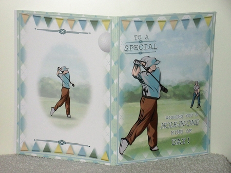 Hole in One by Wayne Swan