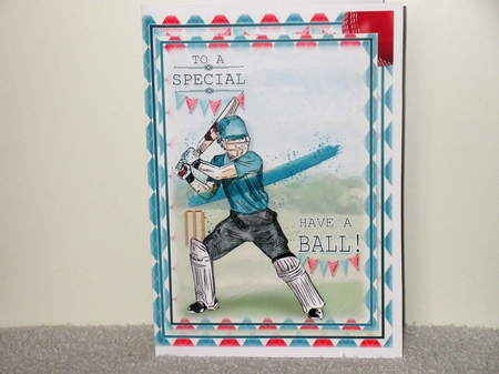 Cricket by Wayne Swan