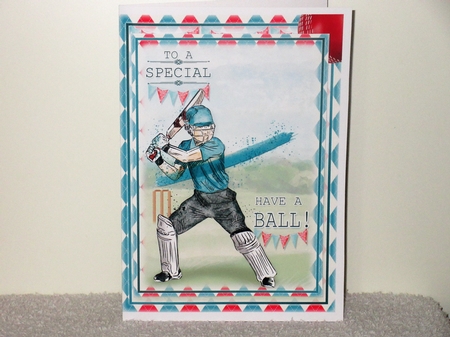 Cricket by Wayne Swan