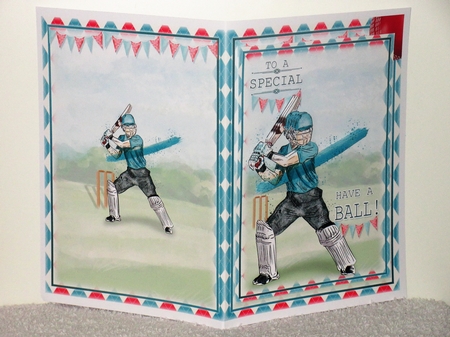 Cricket by Wayne Swan