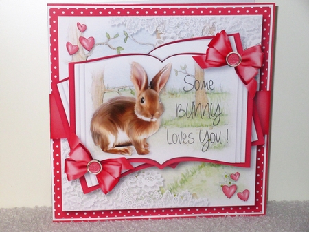 Some Bunny Loves You by Wayne Swan