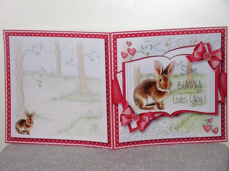 Some Bunny Loves You by Wayne Swan