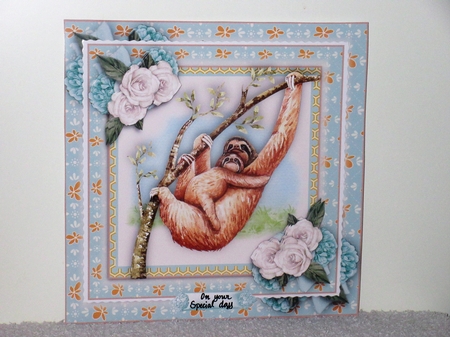 Cutest Sloths  by Wayne Swan