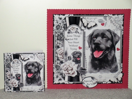 The Black Lab by Wayne Swan