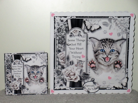 Crazy Cat Lady Bumper Kit by Wayne Swan