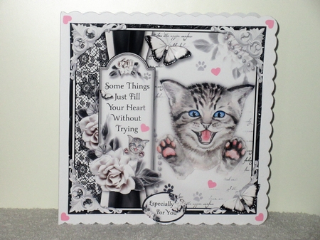 Crazy Cat Lady Bumper Kit by Wayne Swan