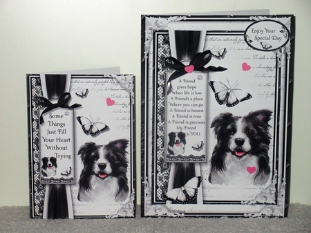 A5 Dogs Bumper Kit by Wayne Swan