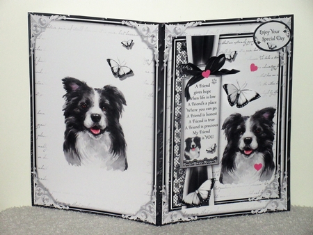 A5 Dogs Bumper Kit by Wayne Swan