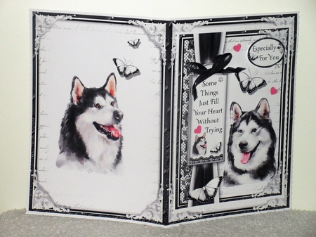A5 Dogs Bumper Kit by Wayne Swan