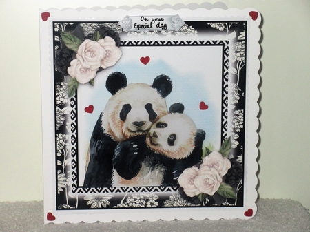Cutest Pandas  by Wayne Swan