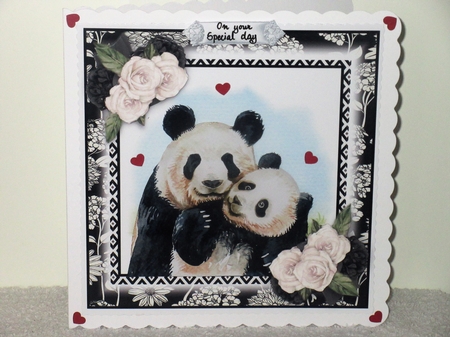 Cutest Pandas  by Wayne Swan