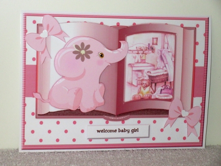 Baby Girl Book Mini Kit by Wayne Swan