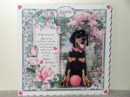 The Doberman Puppy (Girl) by Wayne Swan