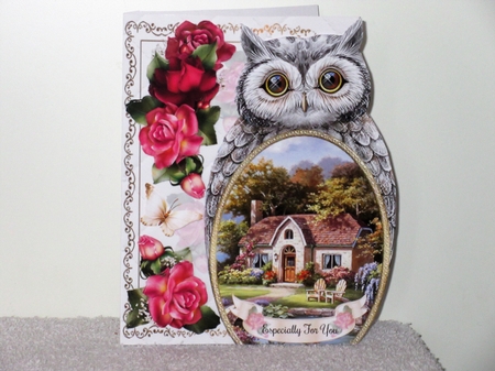 Owl Shaped Cottage Scene no2 Mini Page Kit by Wayne Swan