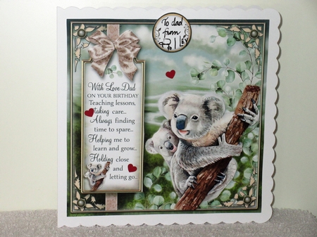 The Koala  by Wayne Swan