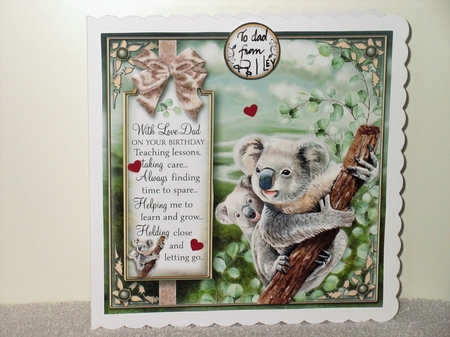 The Koala  by Wayne Swan