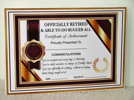 RETIRED Humorous A5 Certificate Ages & Insert Card Kit by Wayne Swan