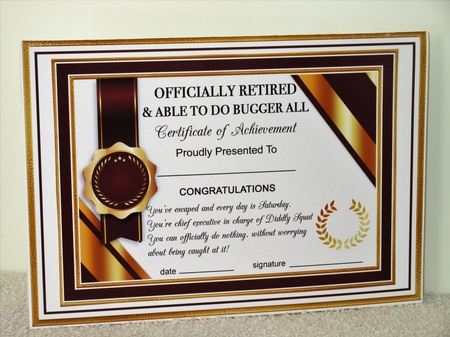 RETIRED Humorous A5 Certificate Ages & Insert Card Kit by Wayne Swan