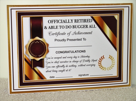 RETIRED Humorous A5 Certificate Ages & Insert Card Kit by Wayne Swan
