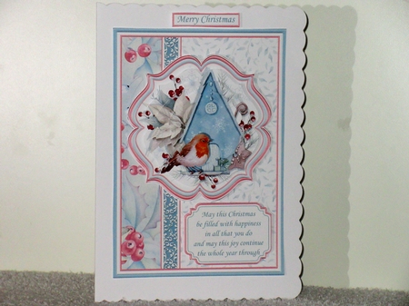 ROBIN & BIRDHOUSE Christmas A5 Portrait Pyramage & Insert Kit by Wayne Swan