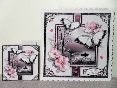 The Beautiful Butterfly Bumper Kit by Wayne Swan