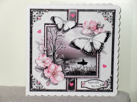 The Beautiful Butterfly Bumper Kit by Wayne Swan