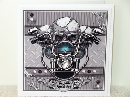 Born To Ride 8x8 Mini Kit by Wayne Swan