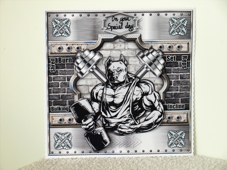 No Pain No Gain 8x8 Mini Kit by Wayne Swan