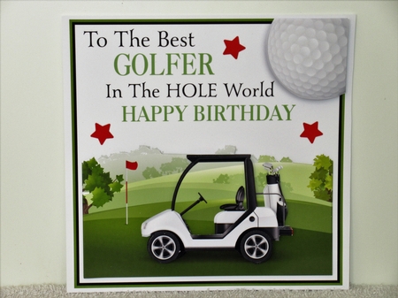 The Best Golfer in the HOLE World! by Wayne Swan