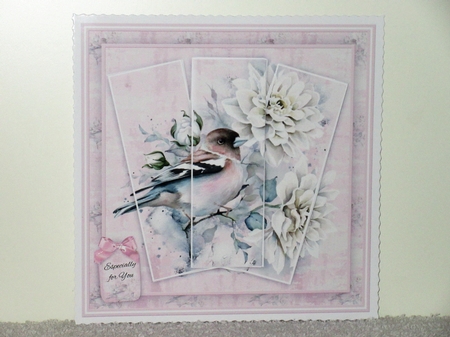 Beautiful Bird Mini Kit by Wayne Swan