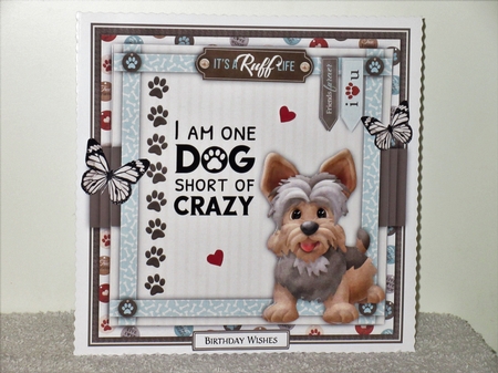 Its a Ruff Life7 Mini Card Kit by Wayne Swan