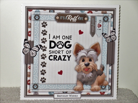 Its a Ruff Life7 Mini Card Kit by Wayne Swan
