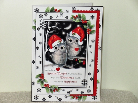 For You Both At Christmas by Wayne Swan