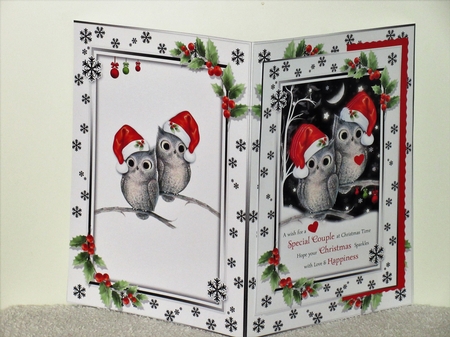 For You Both At Christmas by Wayne Swan