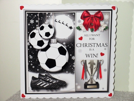The Christmas Football by Wayne Swan