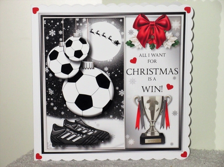 The Christmas Football by Wayne Swan