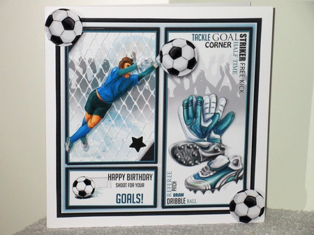 The Goalkeeper by Wayne Swan