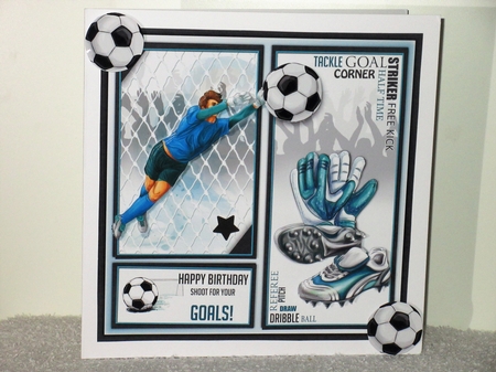 The Goalkeeper by Wayne Swan