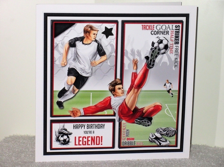 The Defender by Wayne Swan