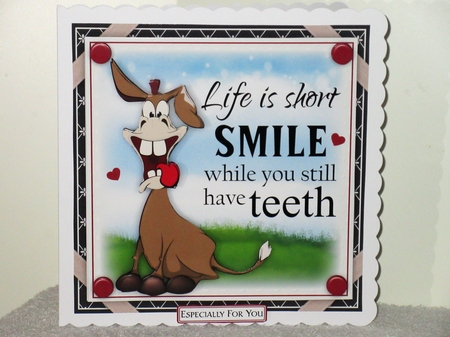Smile While You Have Teeth Mini Card Kit by Wayne Swan