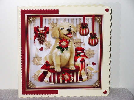 Christmas Gift Box with Puppy Mini Kit by Wayne Swan