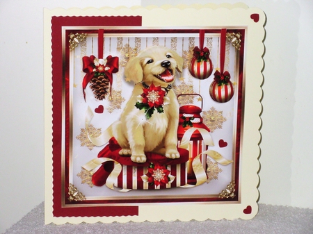 Christmas Gift Box with Puppy Mini Kit by Wayne Swan